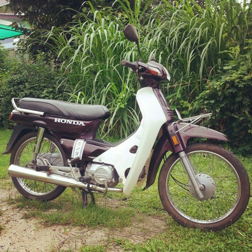 Honda Cub 100cc