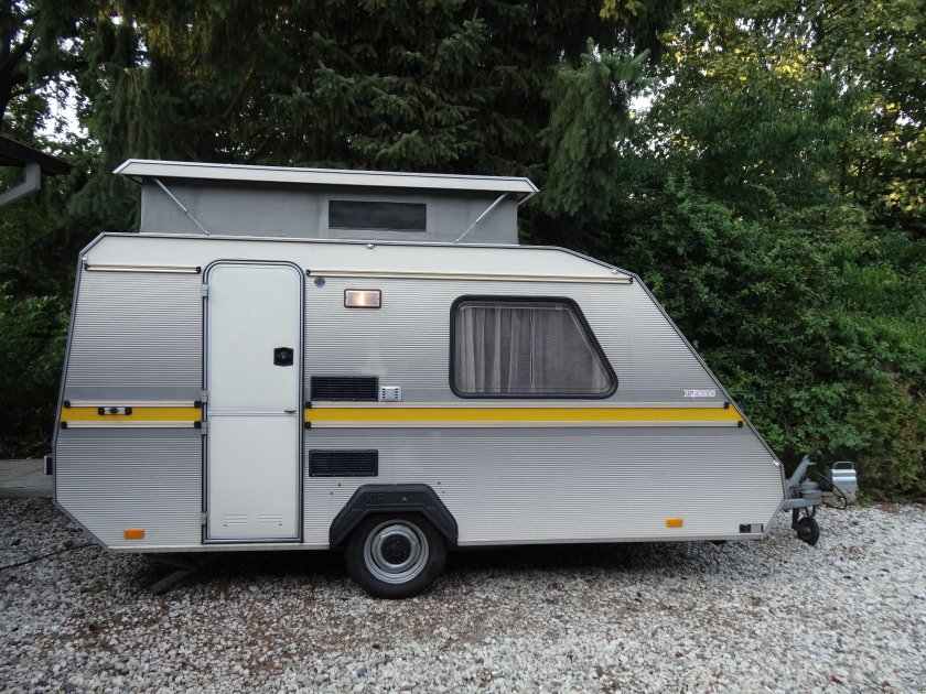 Happy Camper Хоста