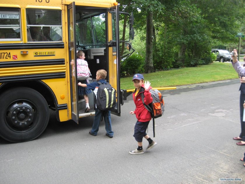 Обходи школьный автобус