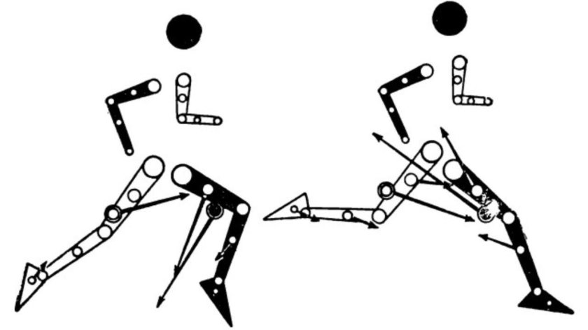 Кинематическая цепь в биомеханике