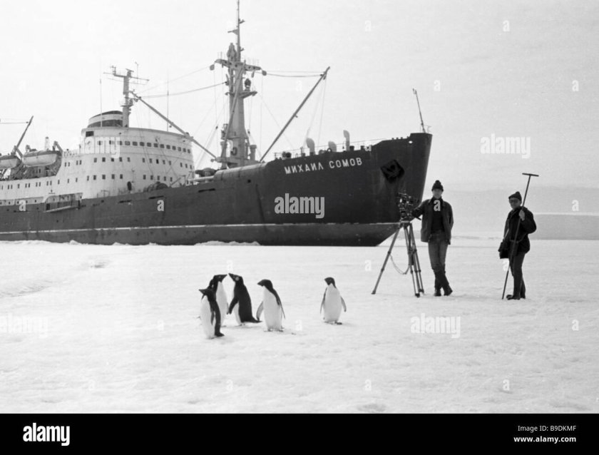 Михаил сомов ледокол 1985 дрейф