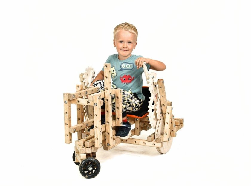 Деревянный конструктор bigo