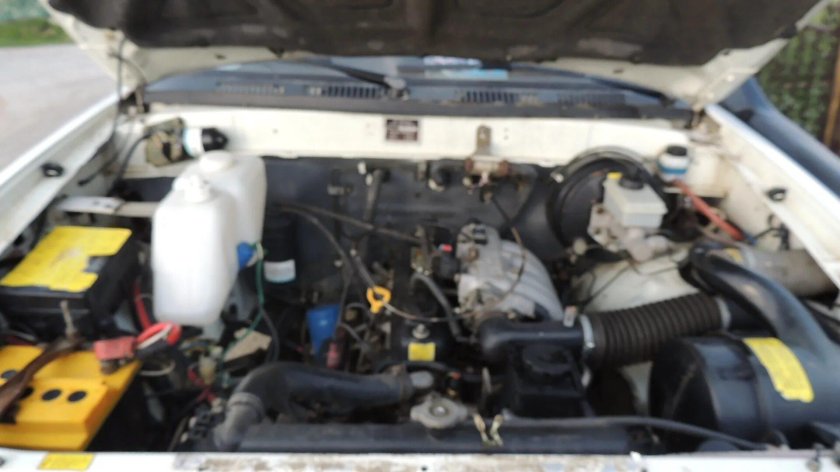 Тиана Адмирал