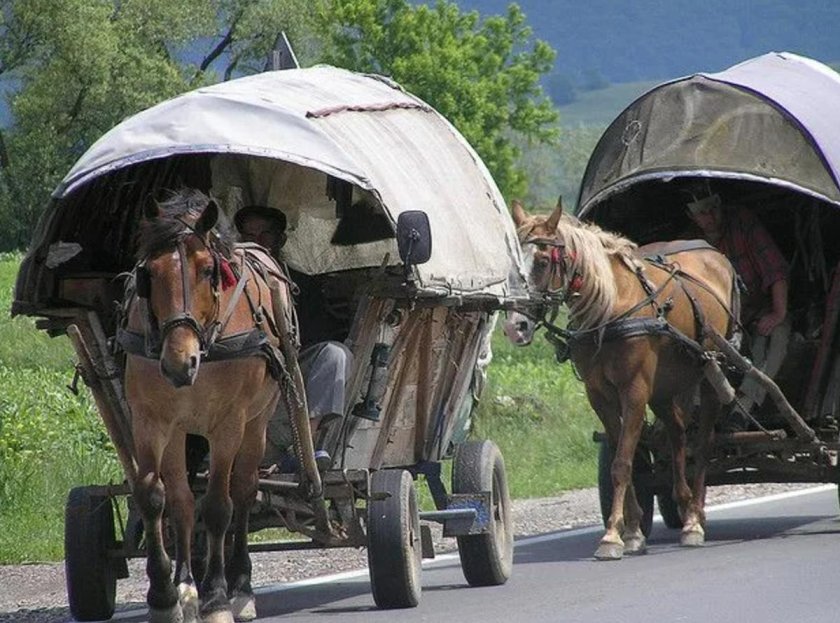 Кибитка Амишей