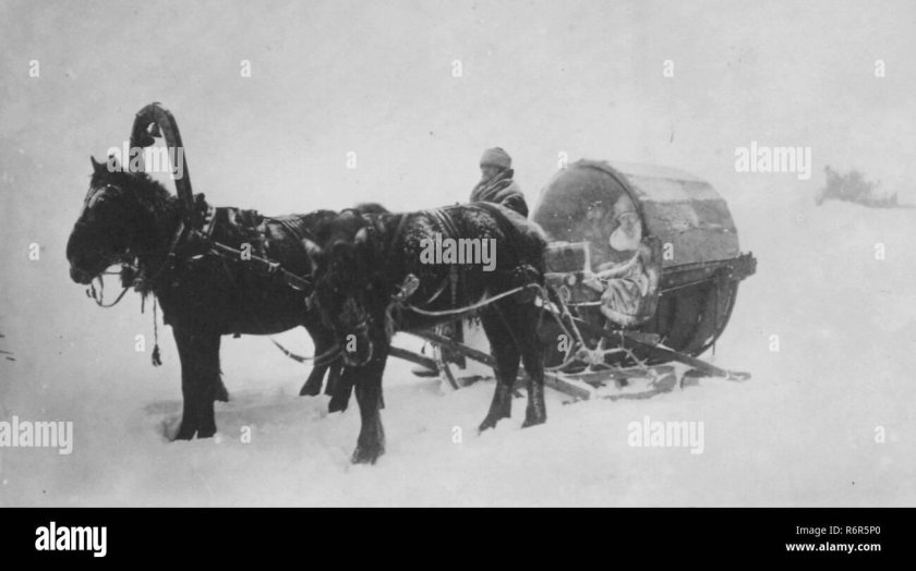 Сани-Кибитка 19 века