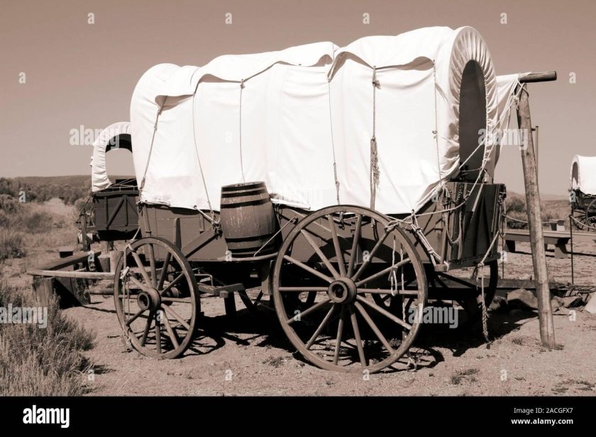 Дикий Запад 19 век переселенцы