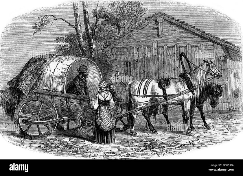 Сани-Кибитка 19 века