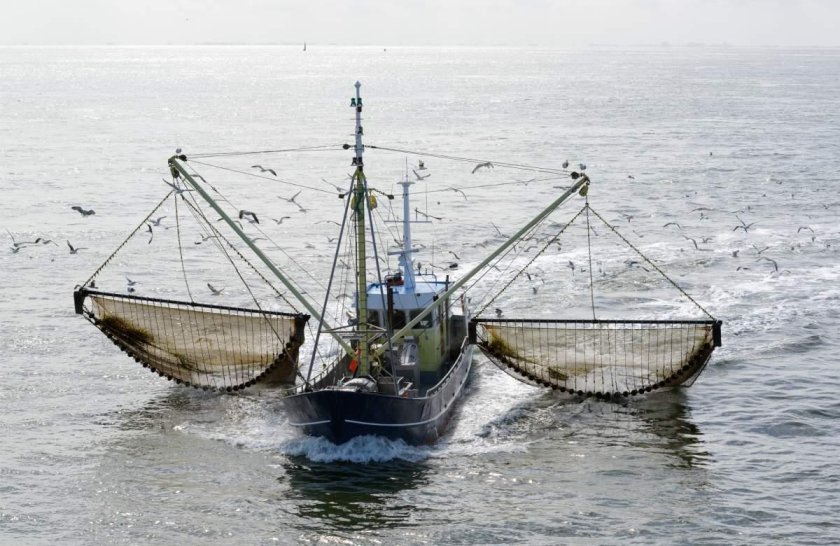 Трал 520 рыболовецкий
