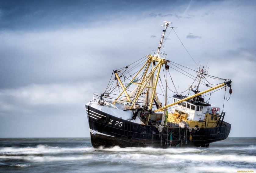 Траулер-сейнер «Василий Каплюк»