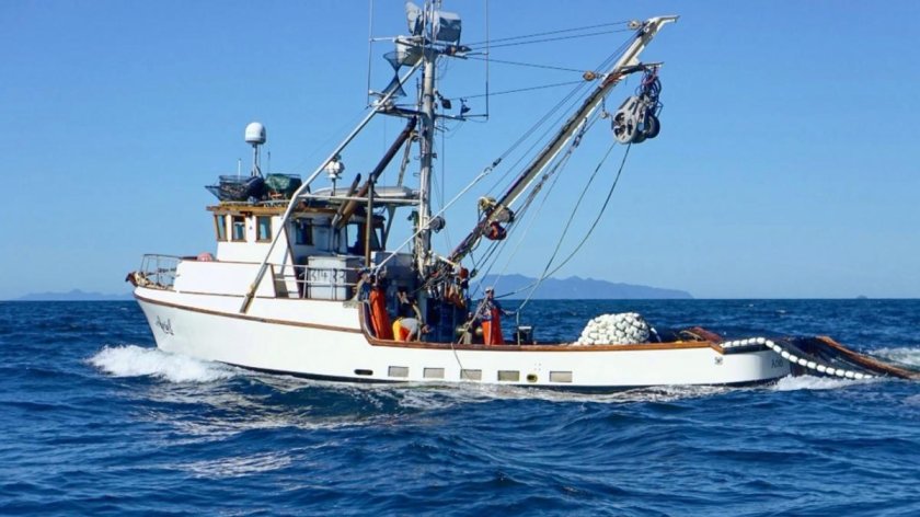 Сейнеры и Траулеры