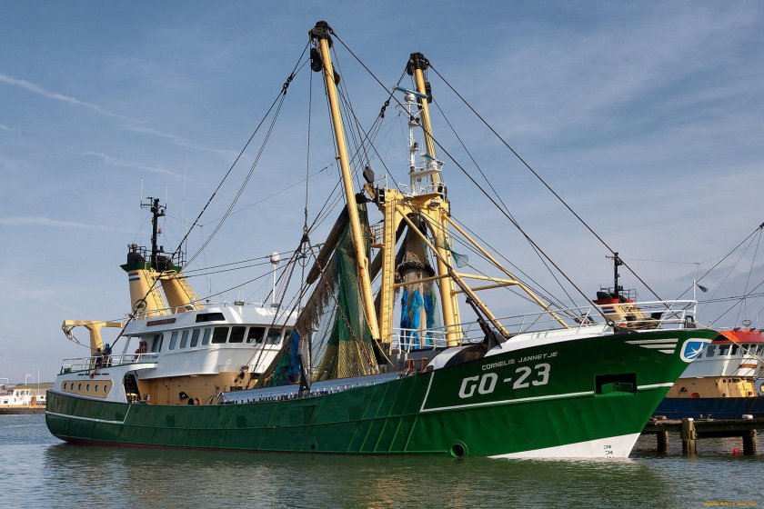 Траулер-сейнер «Василий Каплюк»