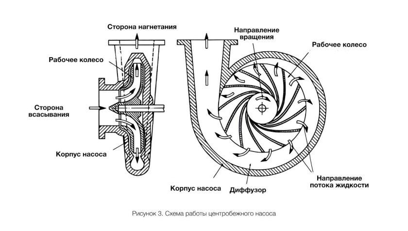 Устройство центробежного насоса для воды схема