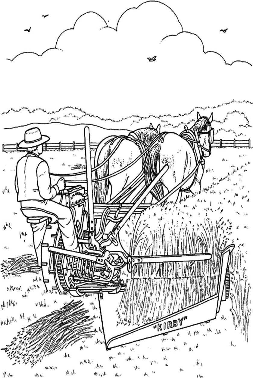 Раскраска на тему сельское хозяйство