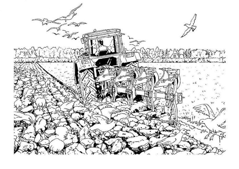 Рисунок на тему сельское хозяйство