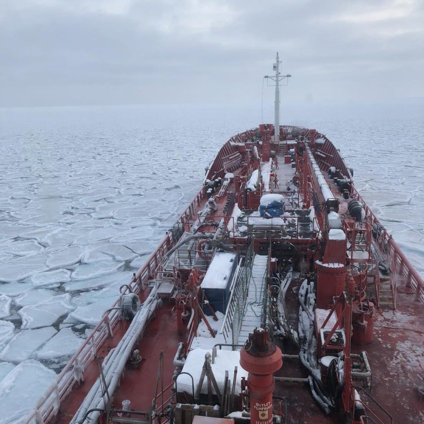 Скадар Мурманск