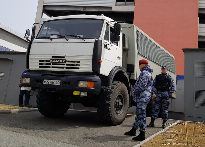 КАМАЗ ОМОН 4208