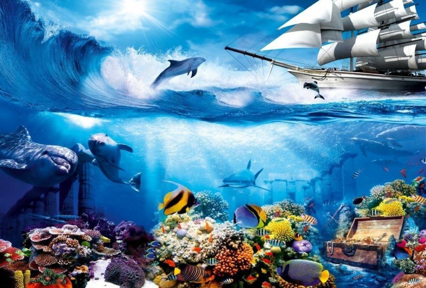 Подводные пейзажи