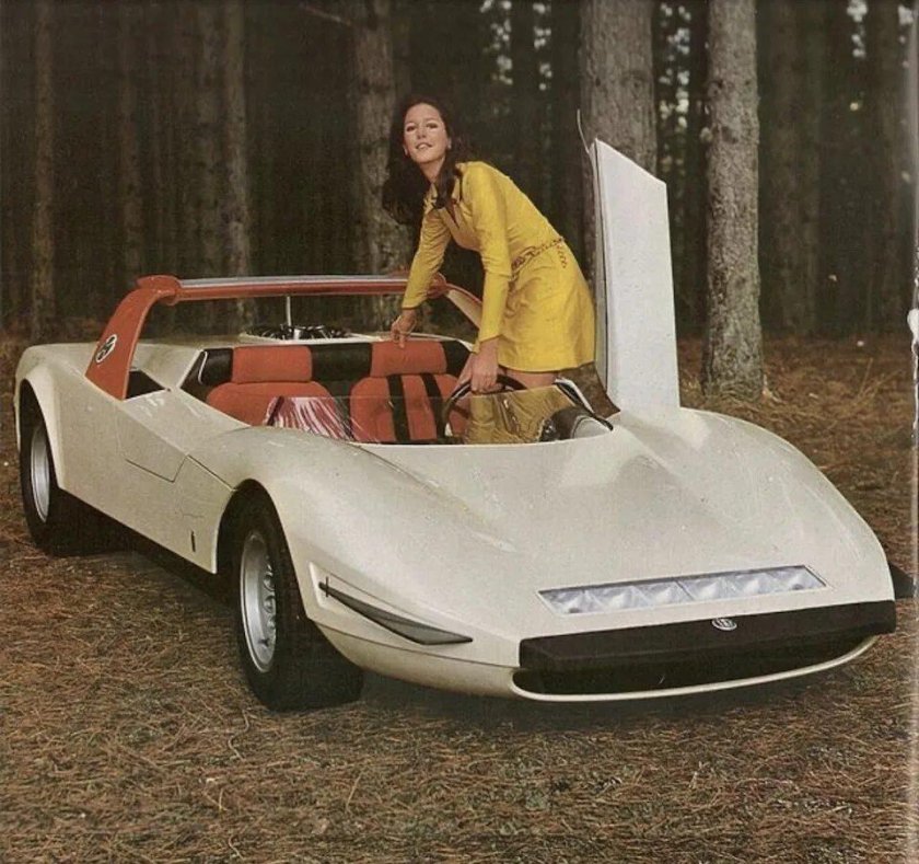 Alfa Romeo p33 Roadster