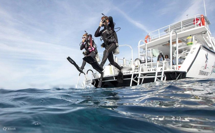 Скуба дайвинг вид спорта