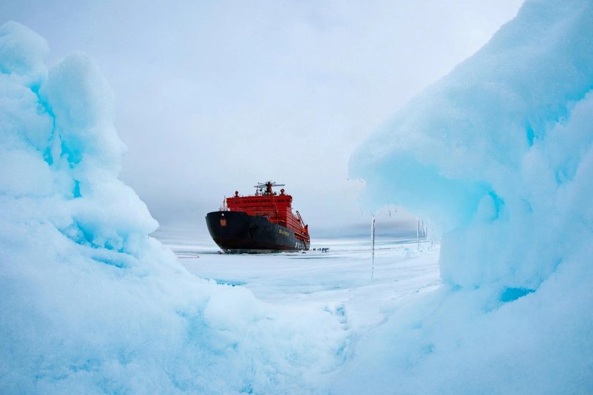 Сезар Арктика остров Большевик