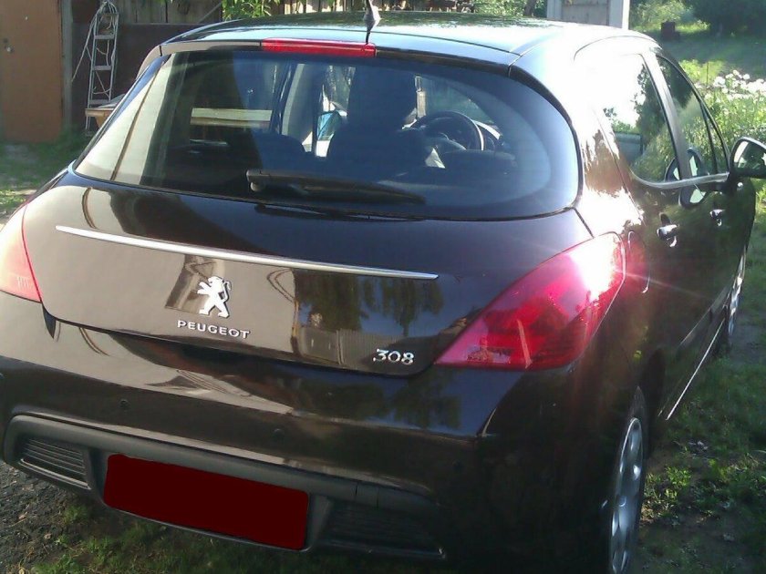 Пежо 308 2011 вид сзади