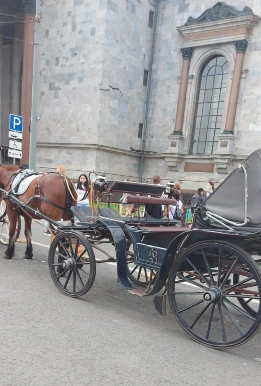 Фаэтон в России карета 19 век