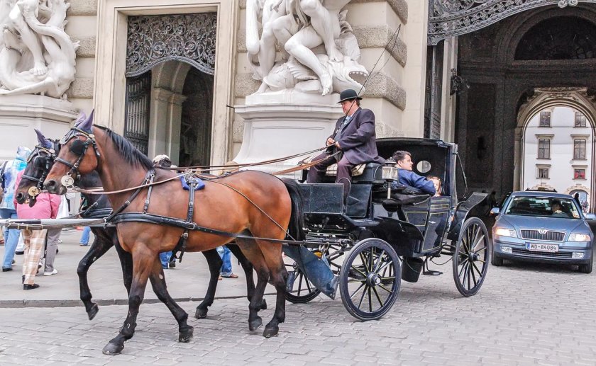 Экипаж пролетка конный