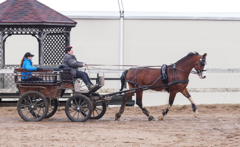 Фаэтон телега карета
