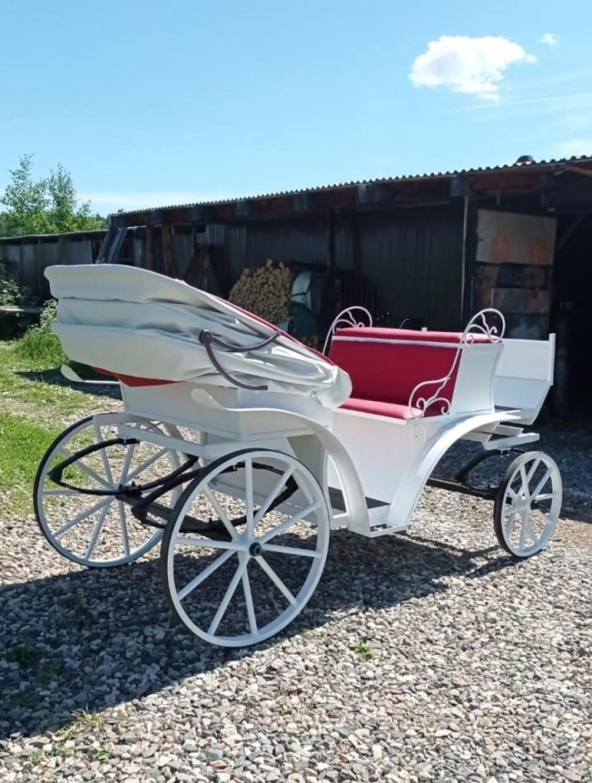 Фаэтон карета Александрополь