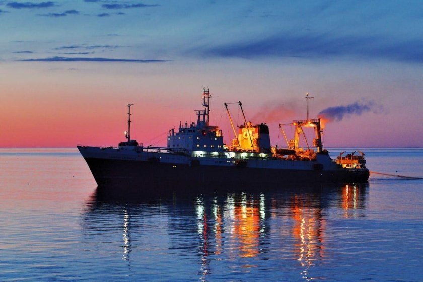 Траулер (БМРТ) "Капитан Болсуновский