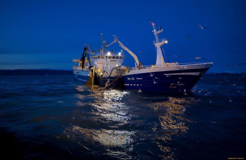 Траулер Лазурный Мурманск
