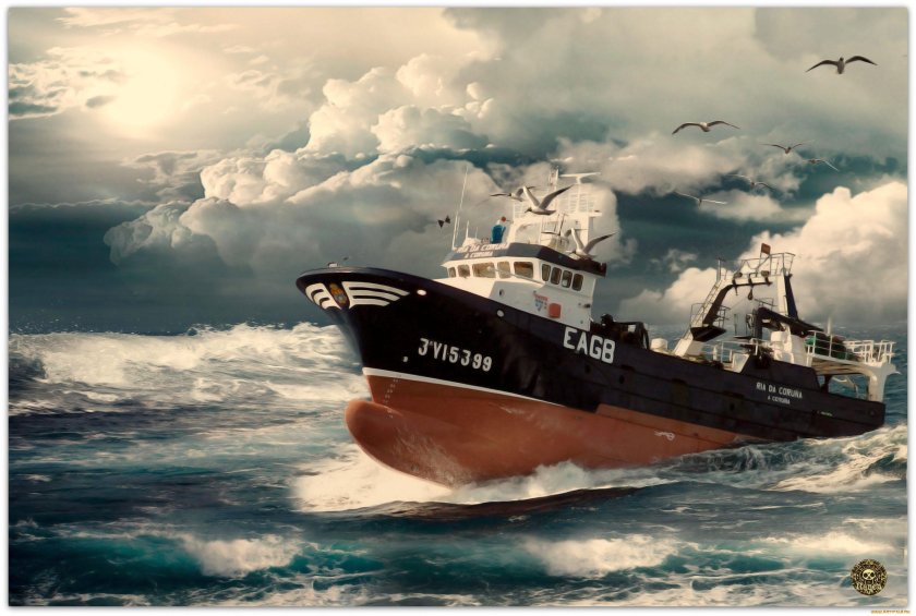 Траулер-сейнер «Василий Каплюк»