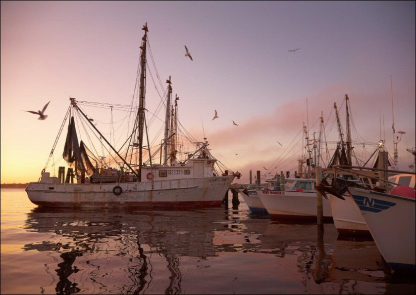 Сейнер Керчь