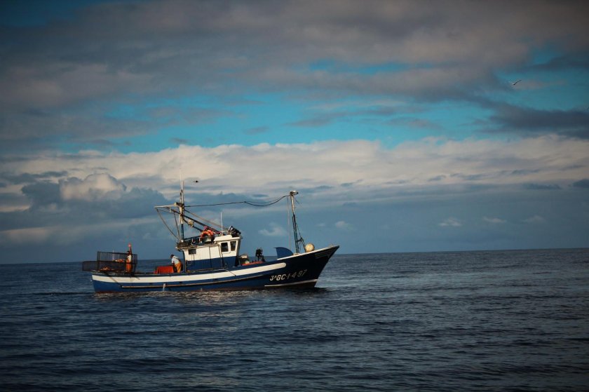 Траулер-сейнер «Василий Каплюк»