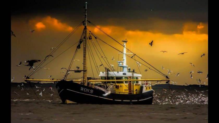 Рыболовецкий сейнер