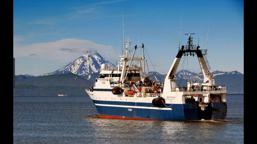 Траулер МФТ «морской волк