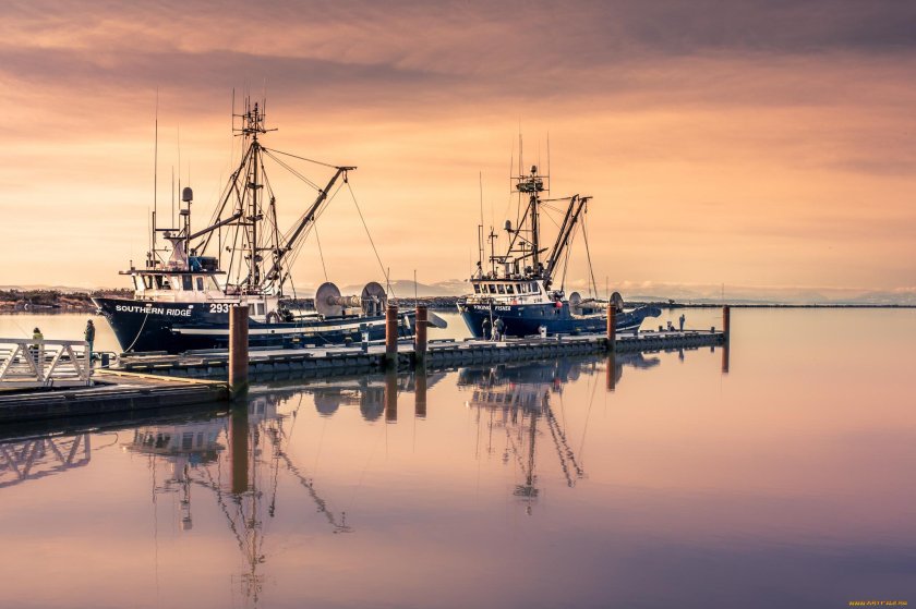 Сейнер корабль