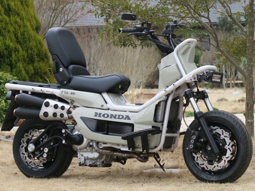 Honda Ruckus 250