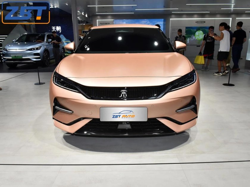 BYD 2024 L