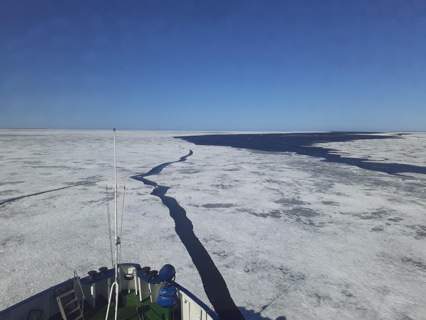 Ледокол палка