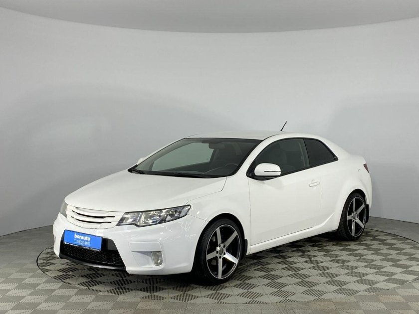 Белая Церато 2