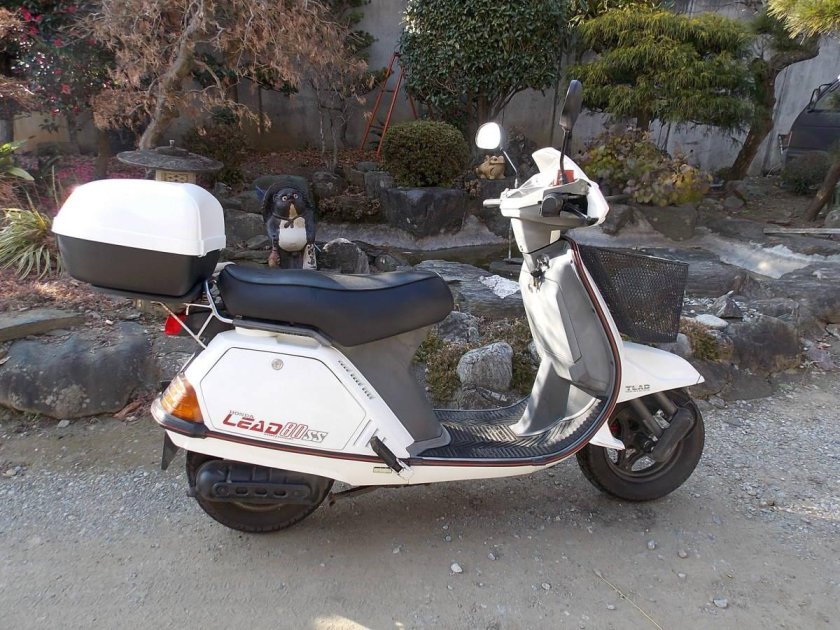 Honda lead 80ss