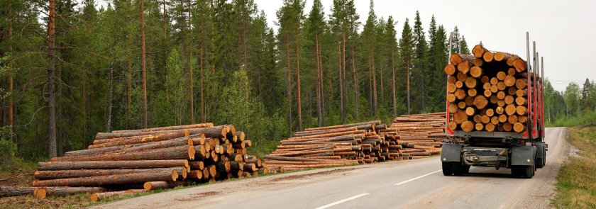 Перевозка древесины