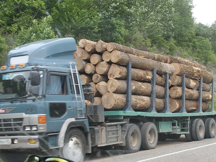 КАМАЗ 5320 груженый лесом