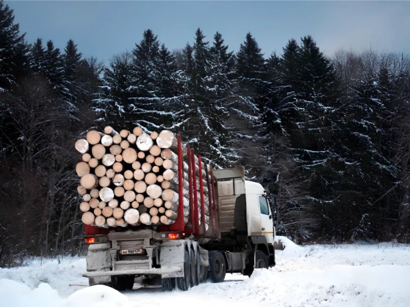 Лесозаготовка в Вологодской области