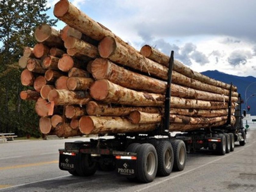 КАМАЗ 6520 лес кругляк