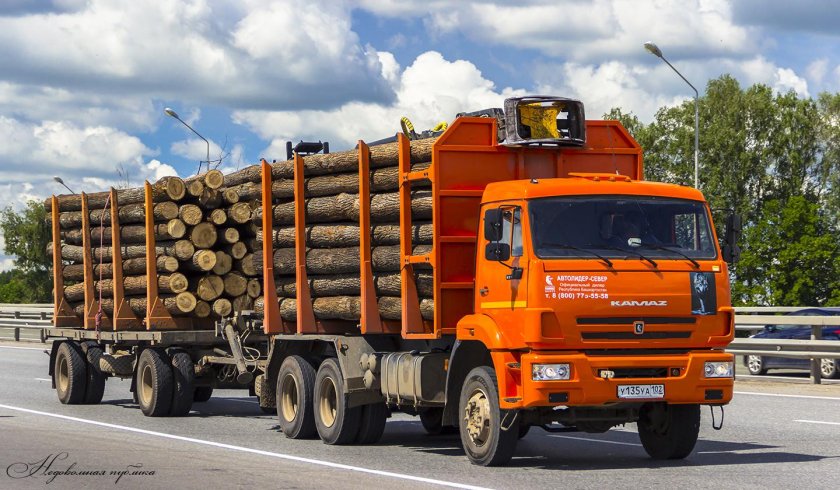 КАМАЗ 65111 лесовоз