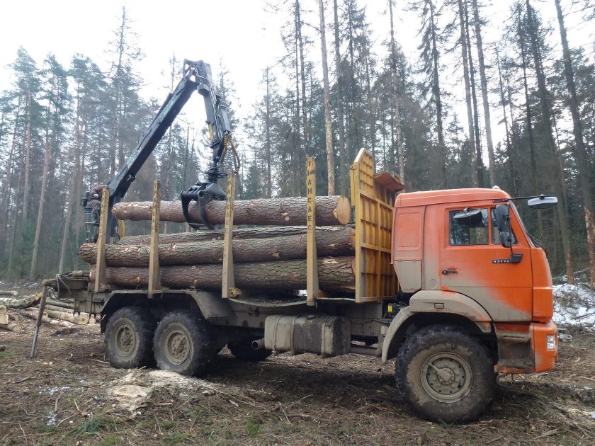 КАМАЗ 43118 лесовоз