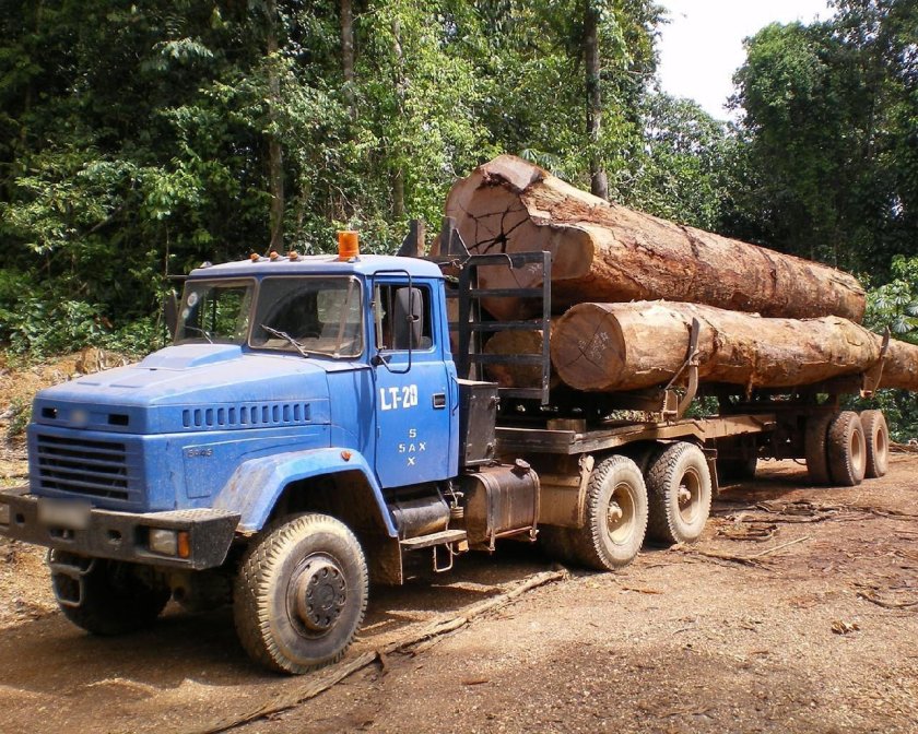 КРАЗ 6443 лесовоз