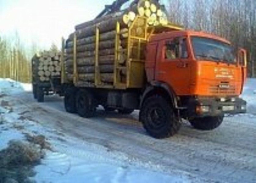 КАМАЗ 43118 лесовоз груженый